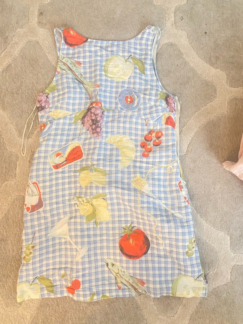 Urban Outfitters Blue Gingham Fruit Print Sleeveless Dress